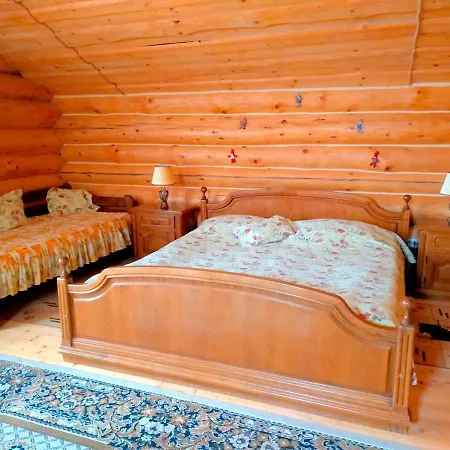 U Druziv Guest house *