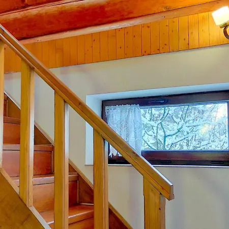 Guest house U Druziv Polyana (Transcarpathia)