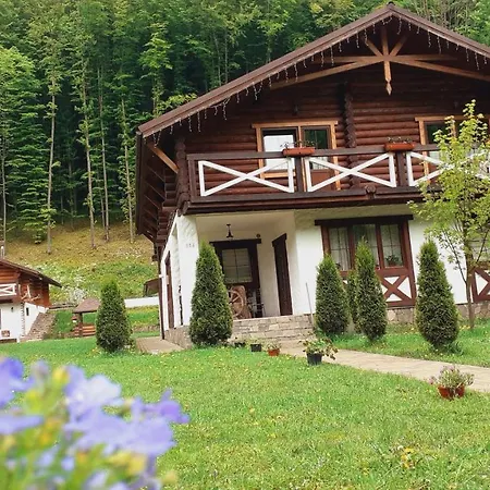 U Druziv Polyana (Transcarpathia)