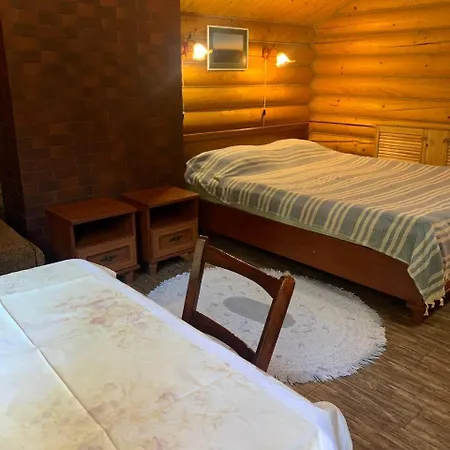 U Druziv Guest house