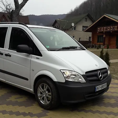 Guest house U Druziv 3*