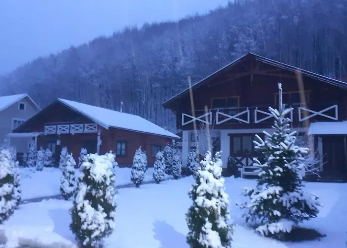 U Druziv 波利亚纳