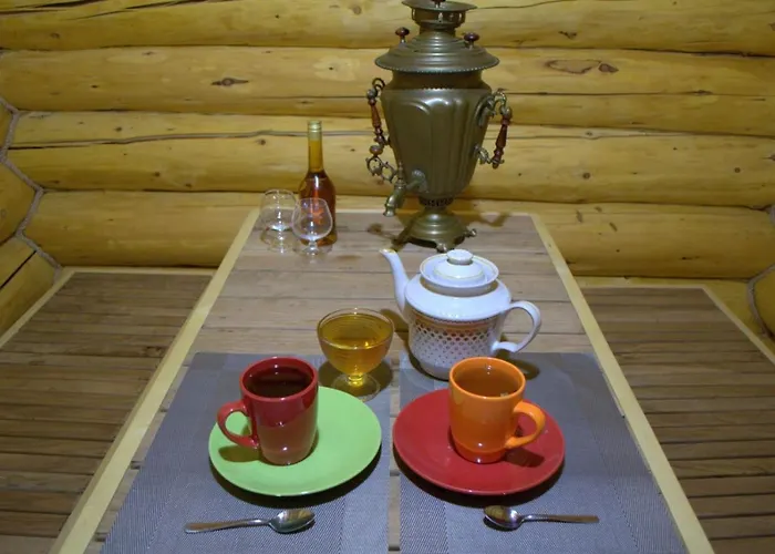 U Druziv 招待所 3*