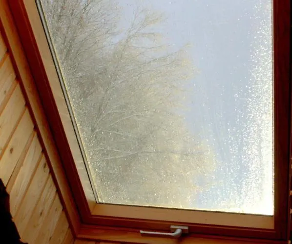 U Druziv 波利亚纳