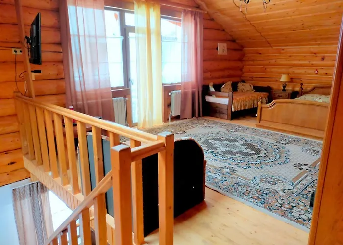 招待所 U Druziv 波利亚纳