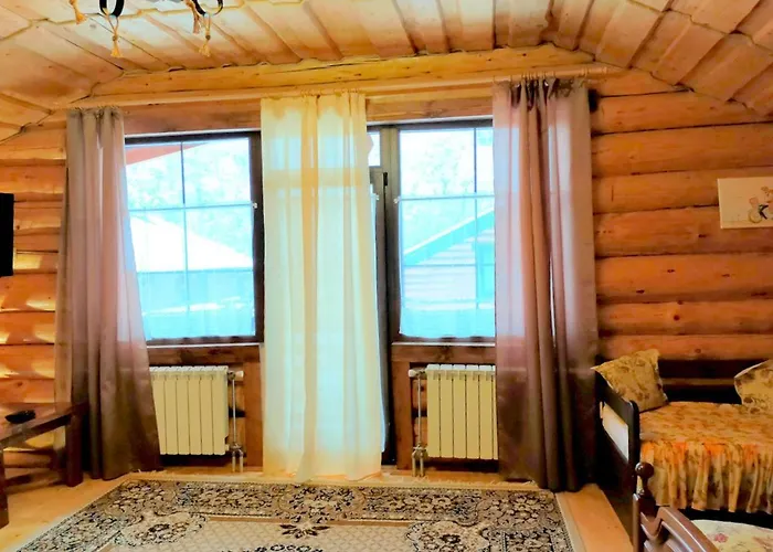 U Druziv 招待所 3*