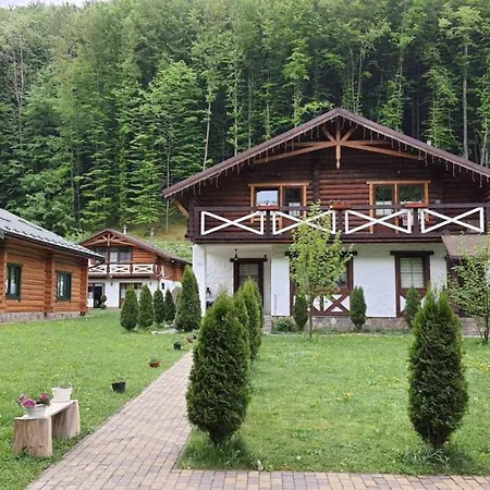 Penzion U Druziv *